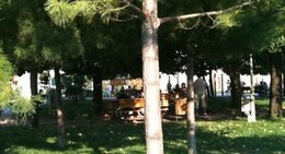 obrázek - Piața Dacia