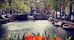obrázek - Amsterdam