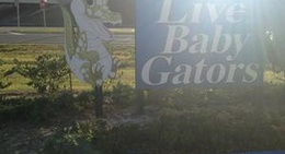 obrázek - Jennings Citrus Center