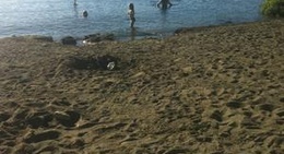 obrázek - Government Wharf