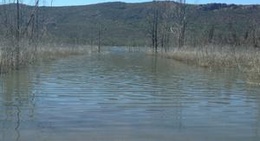 obrázek - Lake Bellfield Water