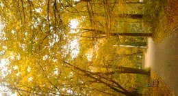 obrázek - Gradina Publica