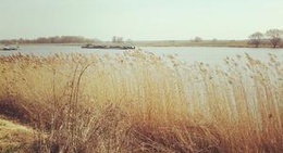 obrázek - Hugenottenpark Schwedt