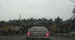 obrázek - City of Shelton