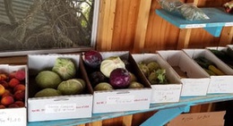 obrázek - Miller's Farm Fresh Produce