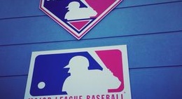 obrázek - MLB Network