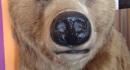 obrázek - Big Shooter Coffee