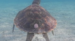 obrázek - 博愛漁港