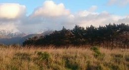 obrázek - Meat Works Campground