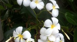 obrázek - North Lakes