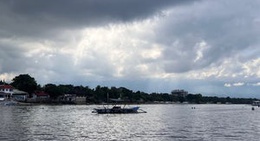 obrázek - Sardine Run