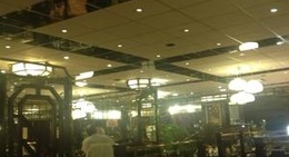 obrázek - Lotus Garten