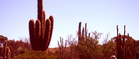 obrázek - Peterborough