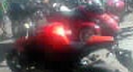 obrázek - Espaço Livre - Lisinho