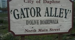 obrázek - Alligator Alley