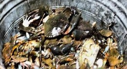 obrázek - Kapuaiwa Coconut Grove