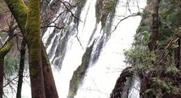 obrázek - Burney CA