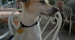 obrázek - Maria Theresia