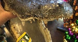 obrázek - One-Eyed Jack's Casino (Love's Casino)