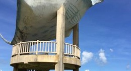 obrázek - 海人公園