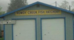 obrázek - Rowdy Creek Fish Hatchery