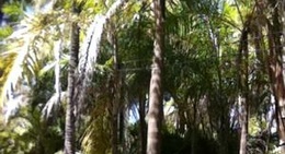 obrázek - La Huerta