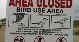 obrázek - Cape Hatteras National Seashore - Ramp 23