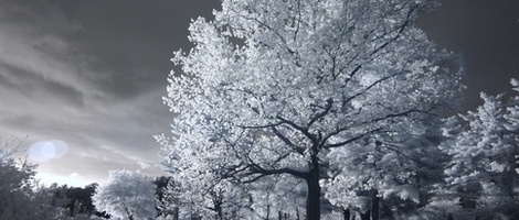 obrázek - Colchester