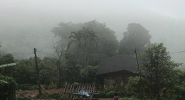 obrázek - Jungle View Coffee