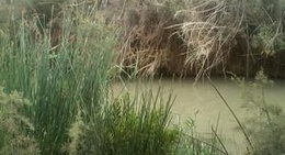 obrázek - Ain nakhla