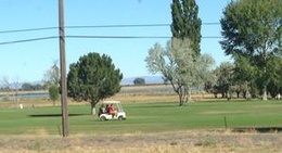 obrázek - City of Burns