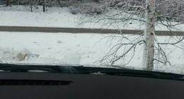 obrázek - vecpiebalga tip-top