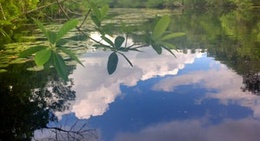 obrázek - Crooked River