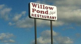obrázek - Willow Pond