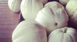 obrázek - Bear's Market