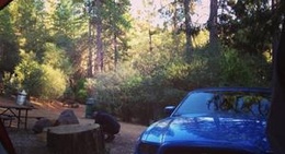 obrázek - Yosemite Pines RV Resort and Family Lodging