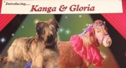 obrázek - The Pines Resturant