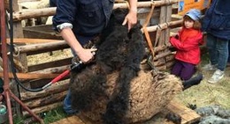 obrázek - Stadt Usedom