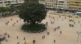 obrázek - Plaza de los Libertadores