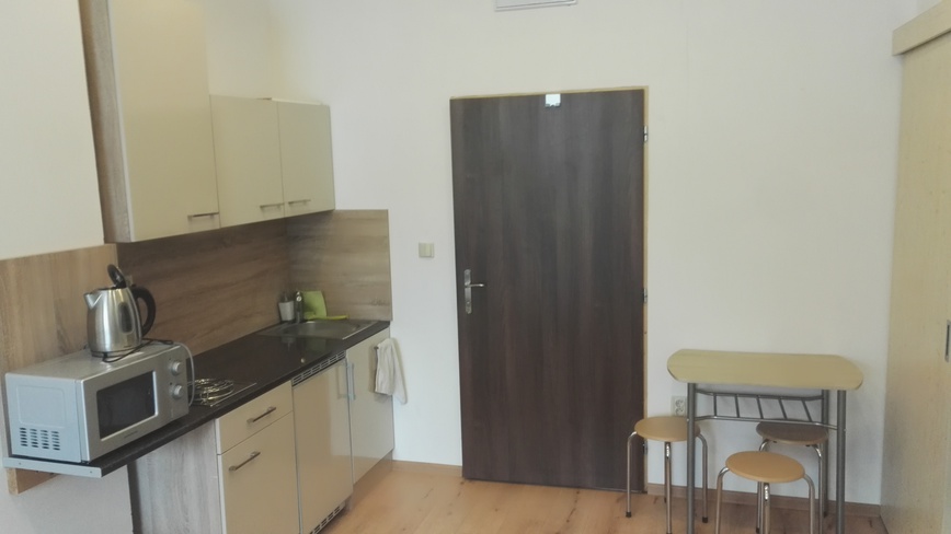 Penzion Opolany u Poděbrad - Apartmán v přízemí pro 5 osob - Apartmán v přízemí pro 5 osob