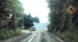 obrázek - Pinal de Amoles