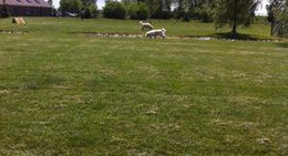 obrázek - Zionsville Country Veterinary Clinic