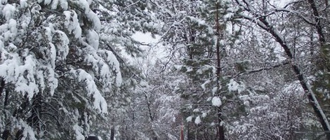 obrázek - Sugarloaf