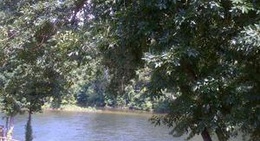 obrázek - Cabin on the River