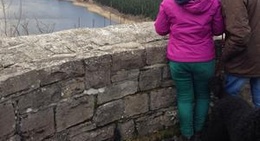 obrázek - Rotestein