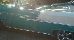 obrázek - Thirsty Otter