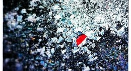 obrázek - Hillcrest Bakery