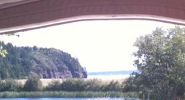 obrázek - Ponderosa Pines