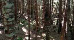 obrázek - Fundy National Park