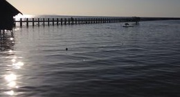 obrázek - ท่าเรือเกาะลิบง